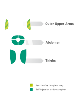 Human body diagram of ideal Dupixent® (dupilumab) administration sites including outer upper arms, abdomen, and thighs