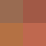 Filter button to view images of eczema by skin tone range